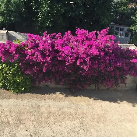 Appartement Casa Azzura *