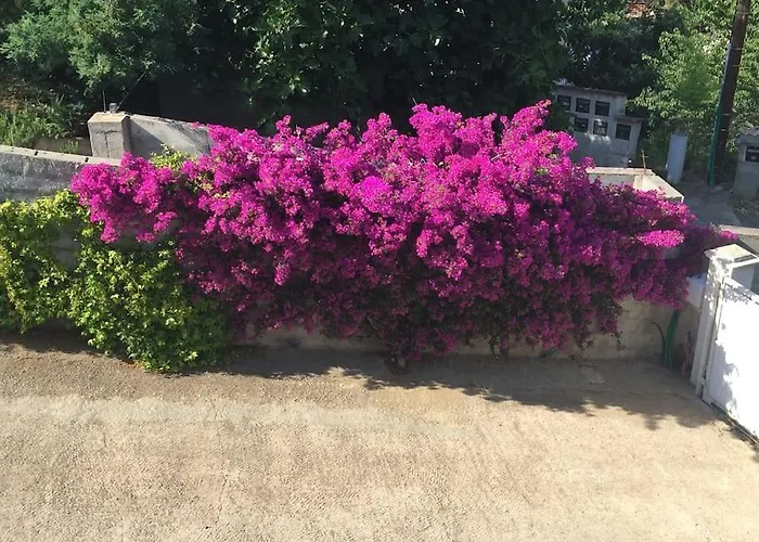 דירה Casa Azzura *